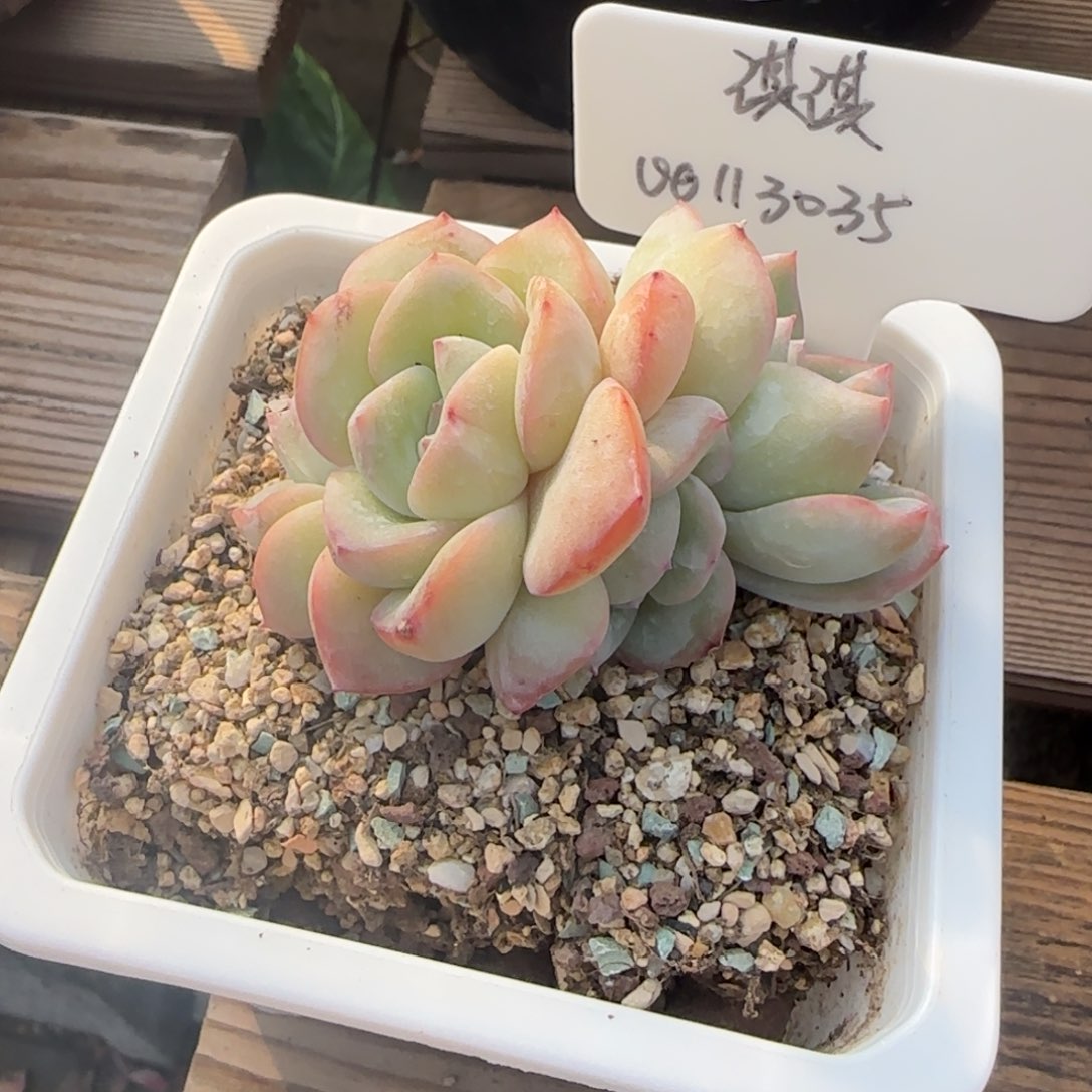 啊啊啊啊啊啊啊啊啊