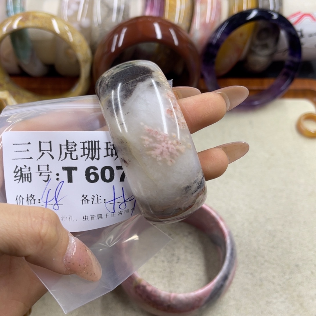 无***念硅化珊瑚（珊瑚玉）未镶嵌h