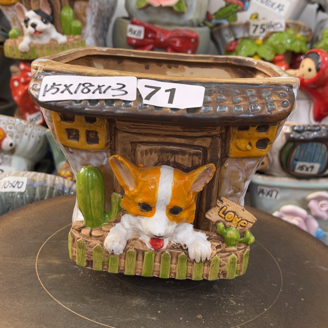 凑满15包邮发货发货