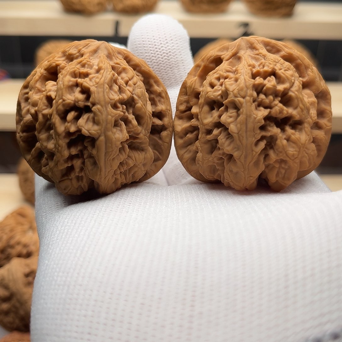 桃核吊坠45平谷大粗筋