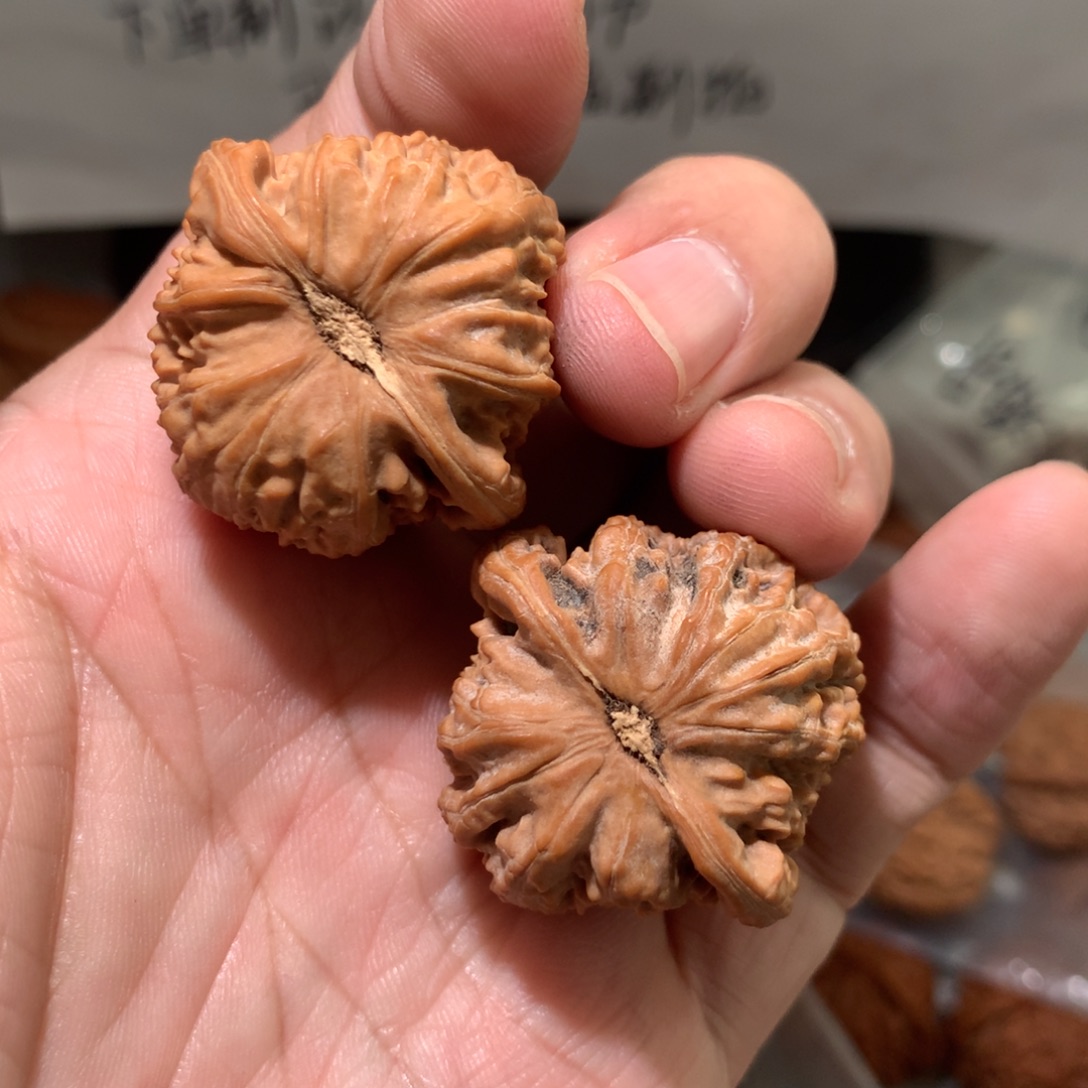 雅***士文玩核桃把件绅士哥专拍白狮子手捻