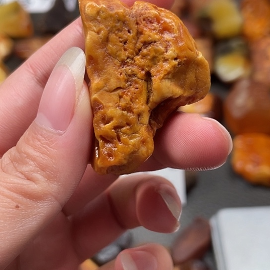 定制琥珀订制花蜡12.13