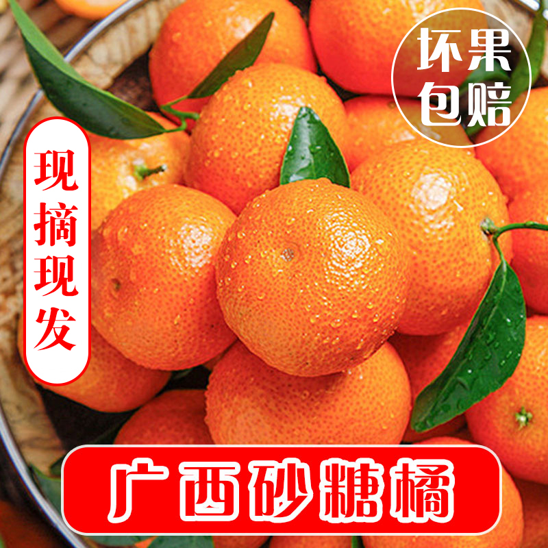 广西砂糖橘皮薄肉厚新鲜带叶应季小砂糖桔现摘现发汁整箱5斤