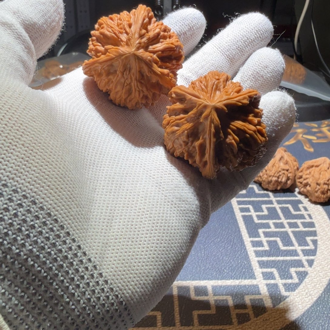 吊坠文玩核桃御龙正奔