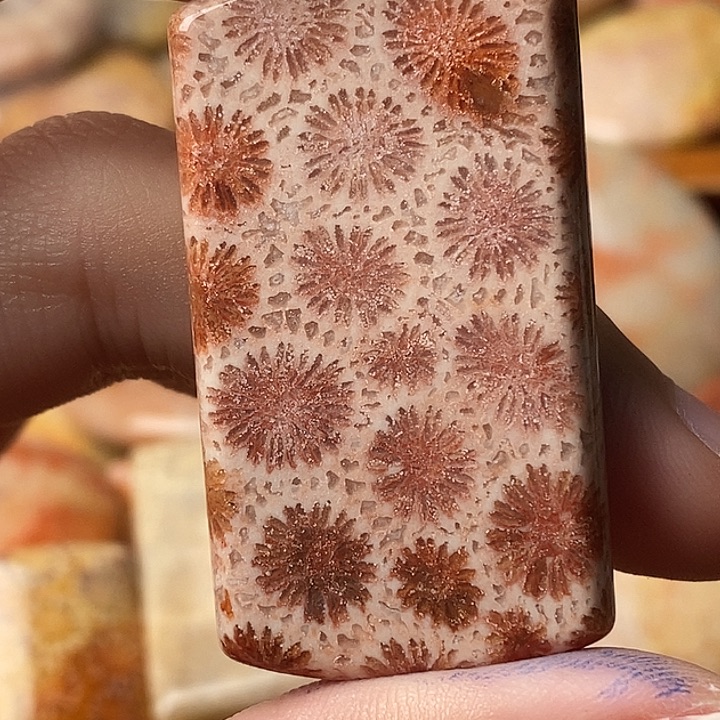 清***香硅化珊瑚未镶嵌颈饰