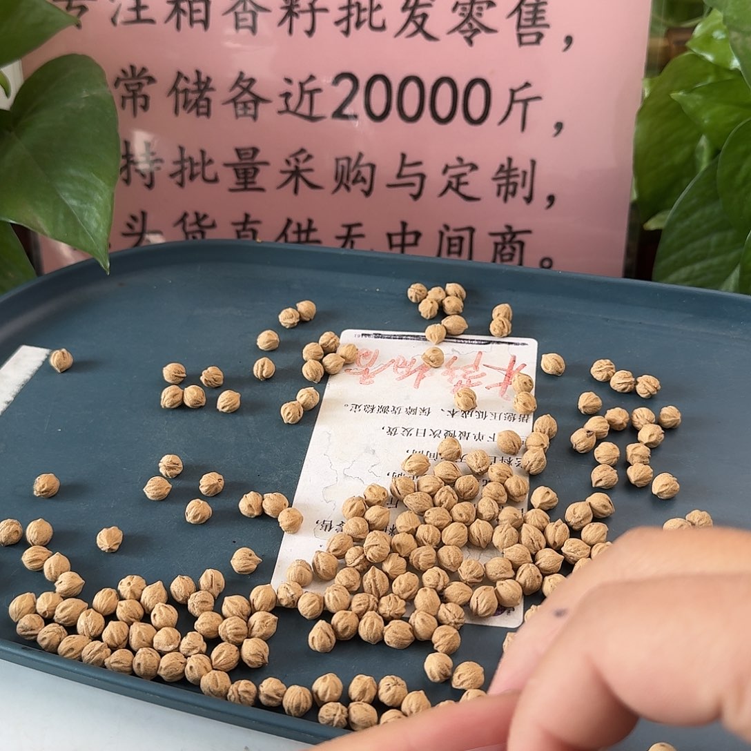 蒙***飞吊坠柏香籽/百香籽7.75+55克HY014