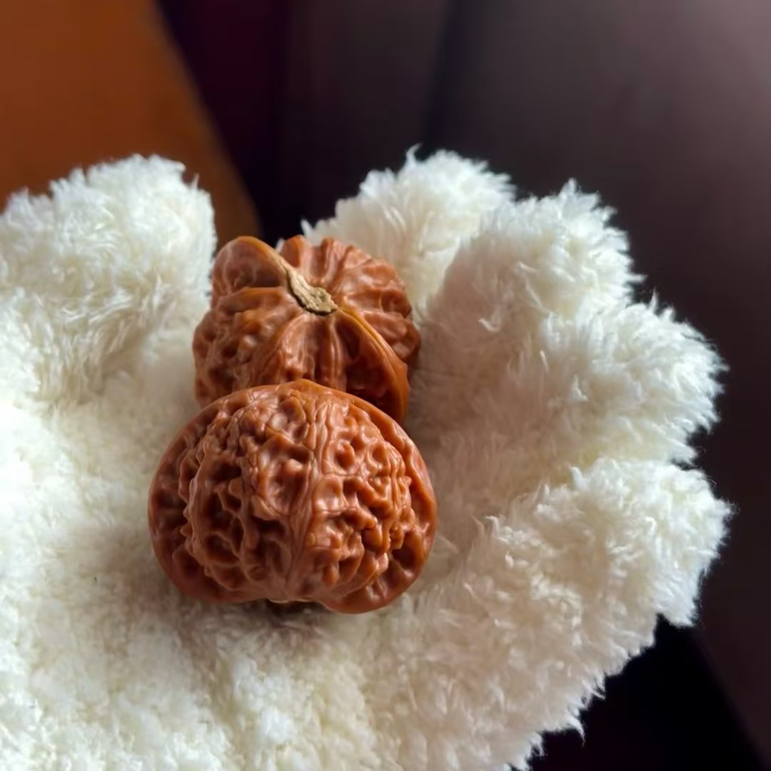 麻核桃狮子头精品蛤蟆头