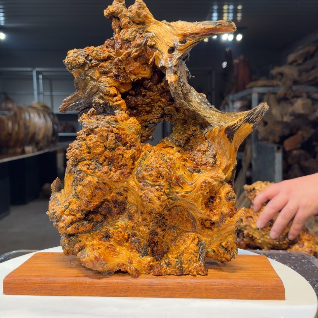 善***下木王一刀琥珀木摆件101