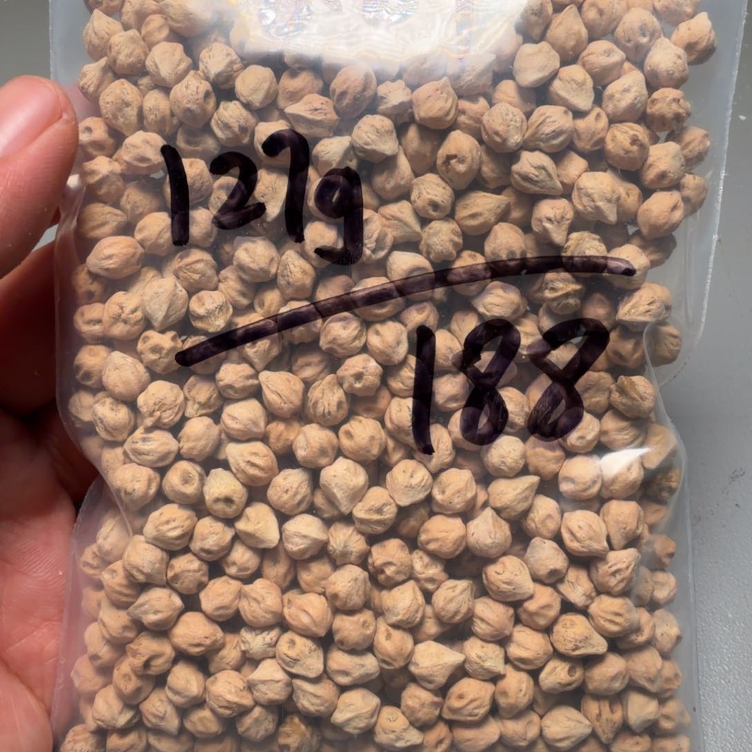 吊坠柏香籽/百香籽夏*