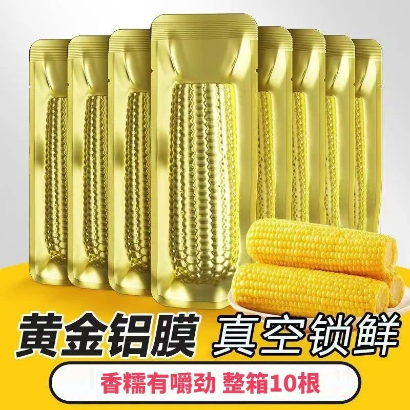 【试吃3根】黄糯玉米619 整箱10根东北黑土地种植 单支250g以上