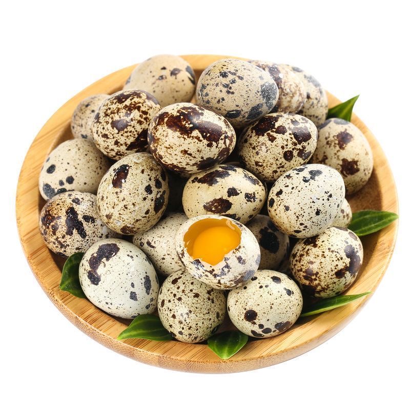 《40枚送10枚》到手50枚生鲜鹌鹑蛋孕妇宝宝的辅食50枚