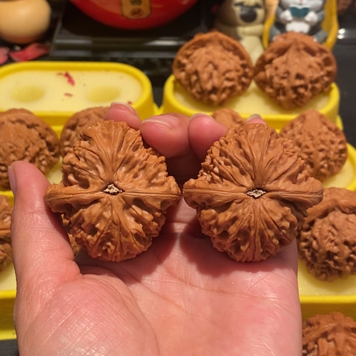 叶*?文玩核桃44尺水龙纹