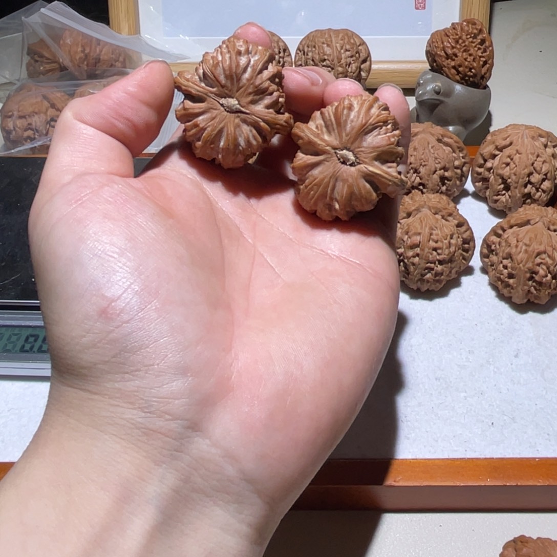 把件文玩核桃38全品白狮子