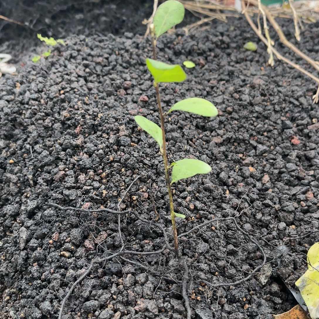 多*剑之笔，哈哈哈哈