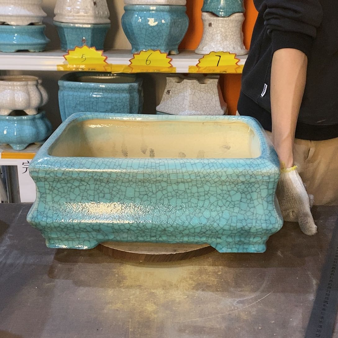 菱*瑕疵花盆花盆里的花都