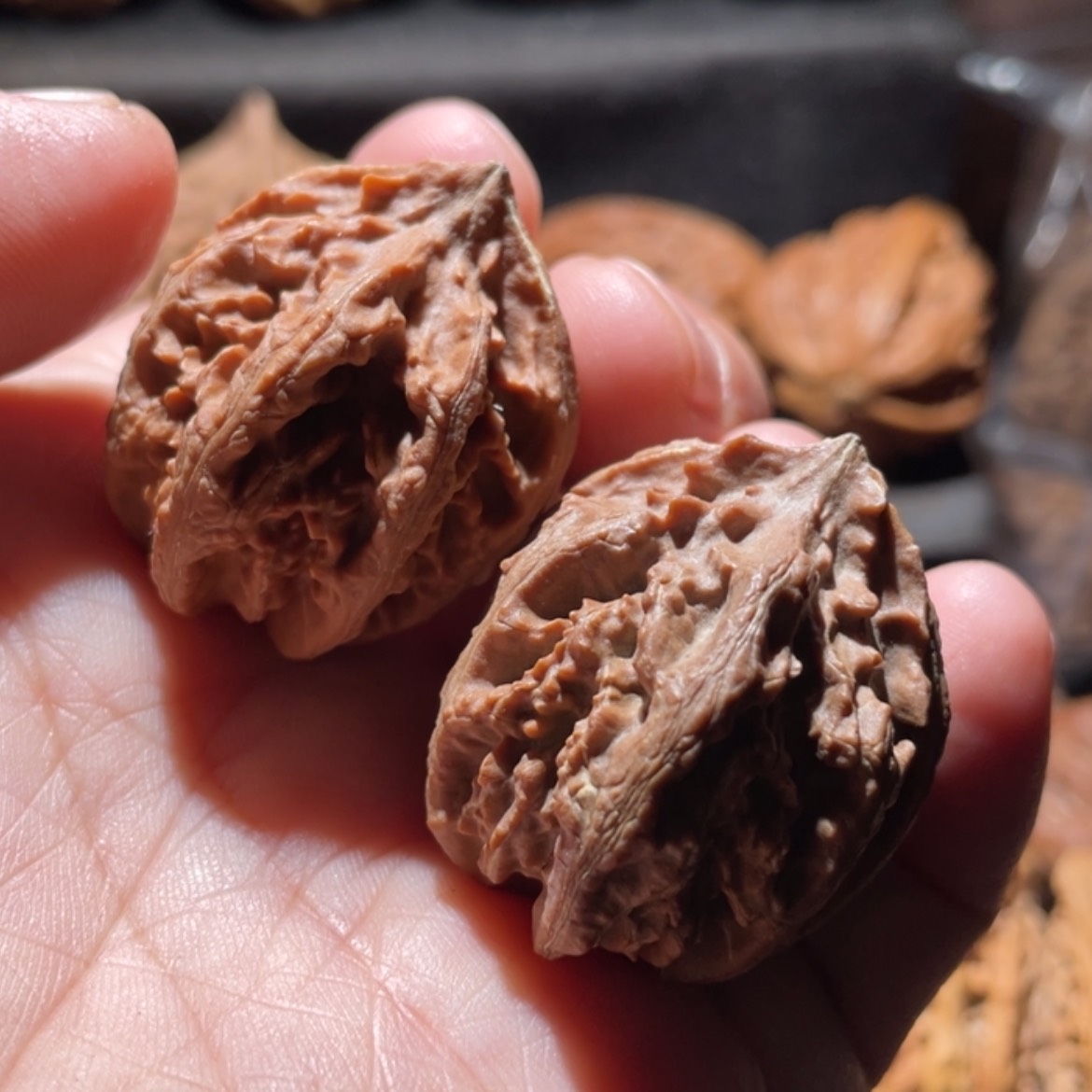 【闪购商品】文玩核桃把件东北楸子9