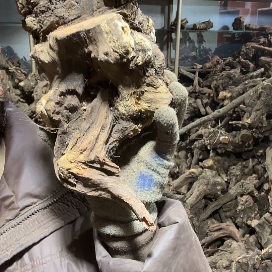 香榧木遥*火琉璃的故事毛料摆件