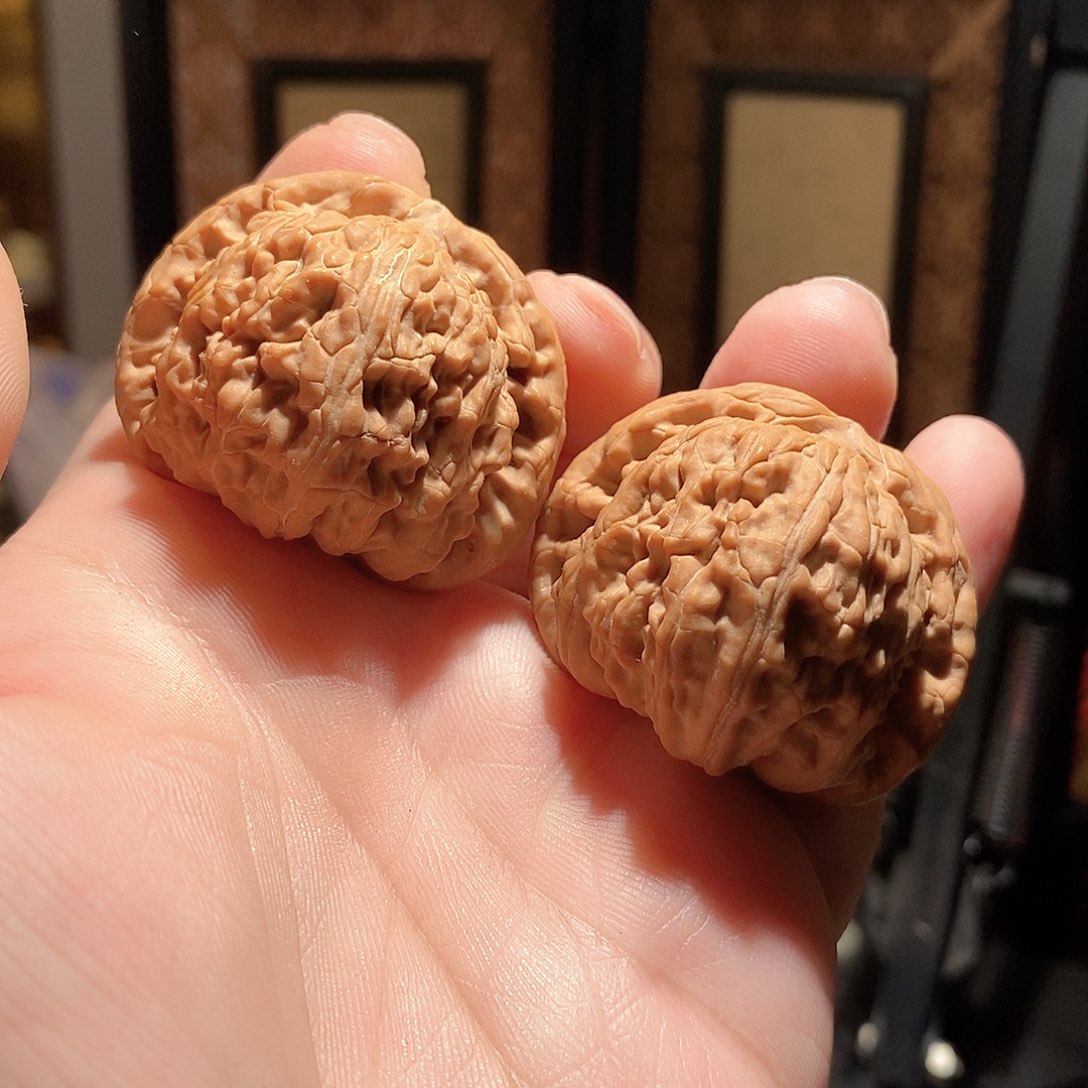 文玩核桃把件42白狮子全品