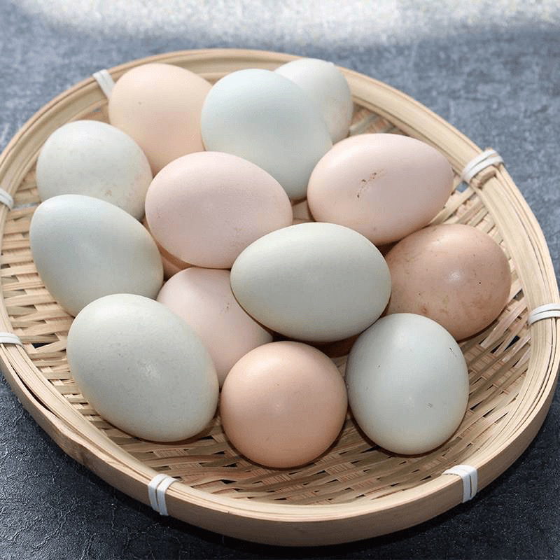 【虫草鸡蛋】正宗林下散养虫草土鸡蛋