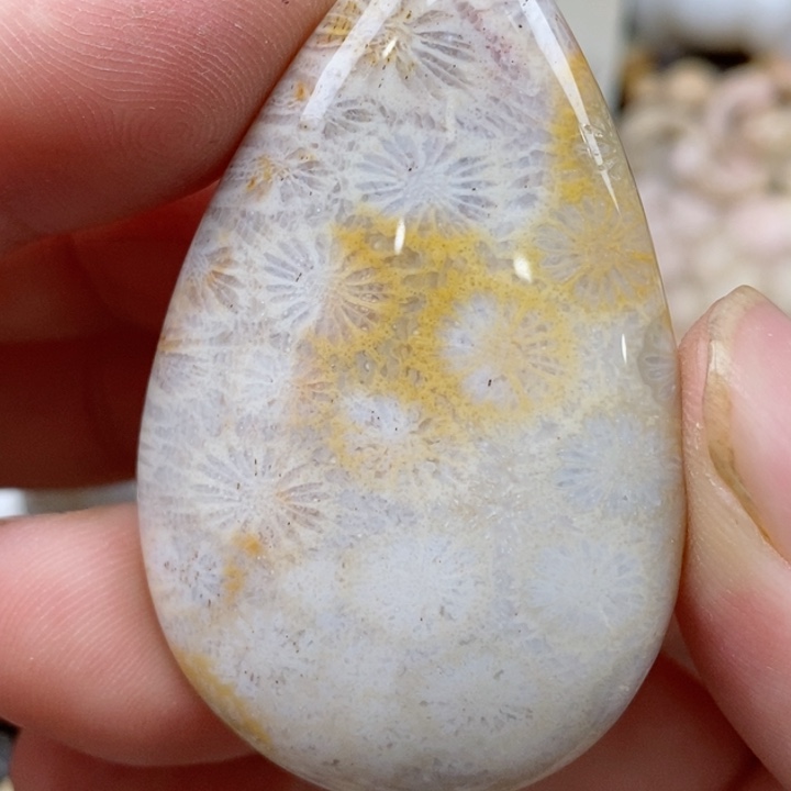 硅化珊瑚（珊瑚玉）未镶嵌颈饰有瑕