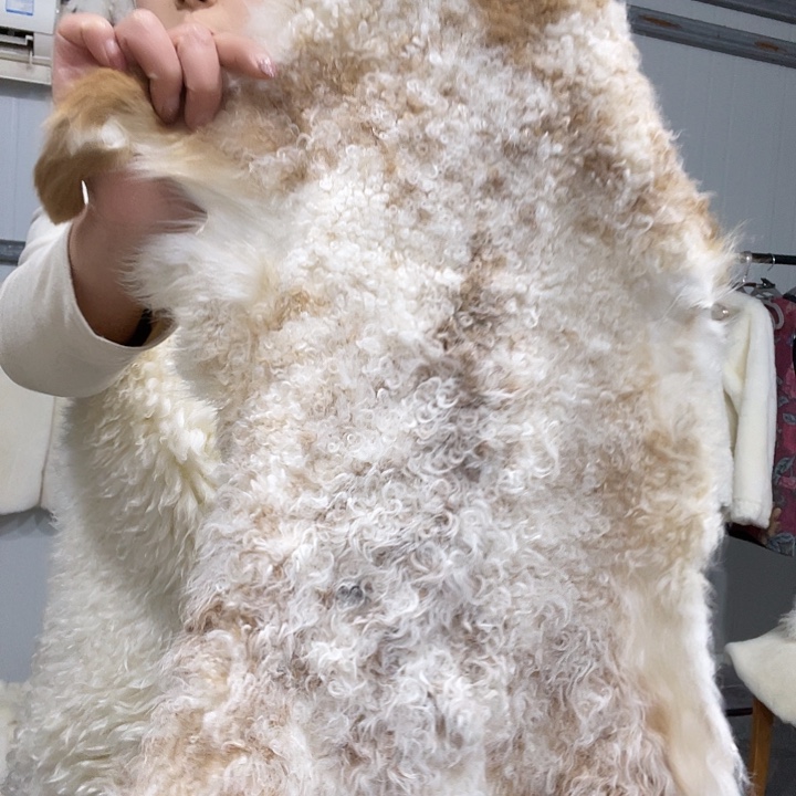 羊皮双面款羊羔皮