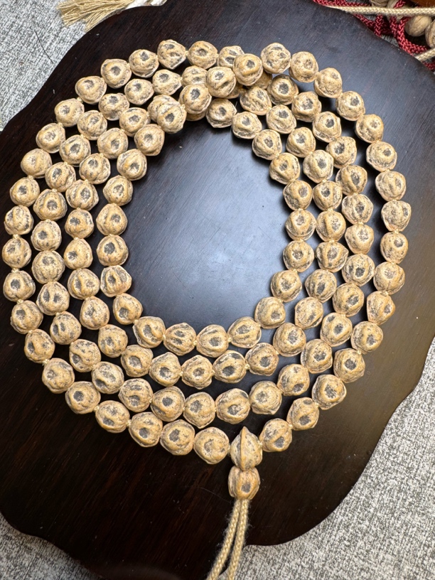 西藏热振寺百香籽鬼脸《单坑》单鬼窟尺寸7.5-8需要私聊！