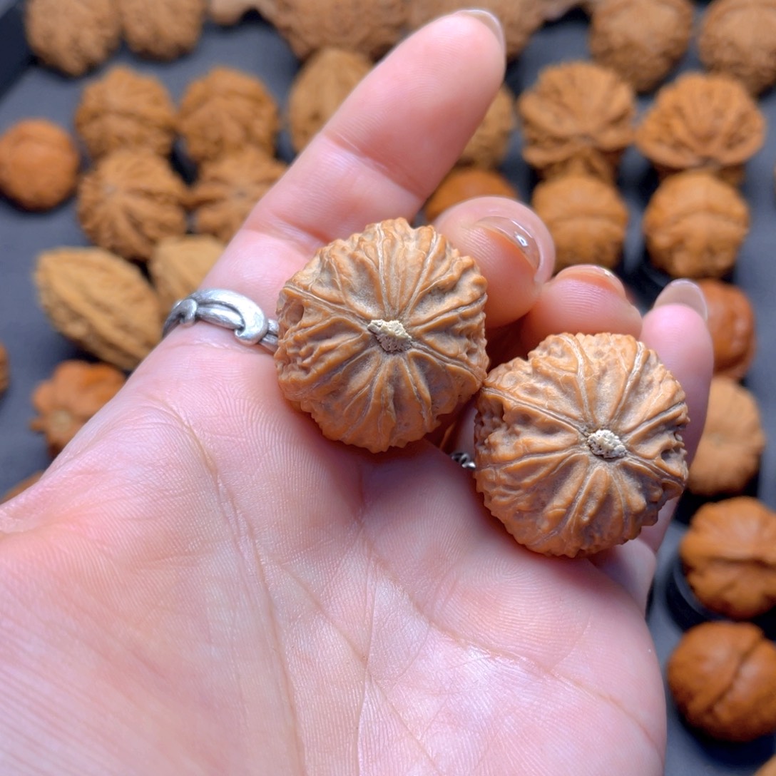 核桃文玩把件大蒜头