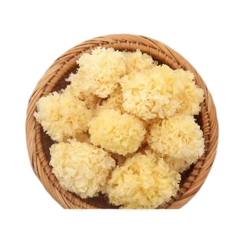 古田特产椴木小银耳软糯出胶快适合炖煮银耳羹