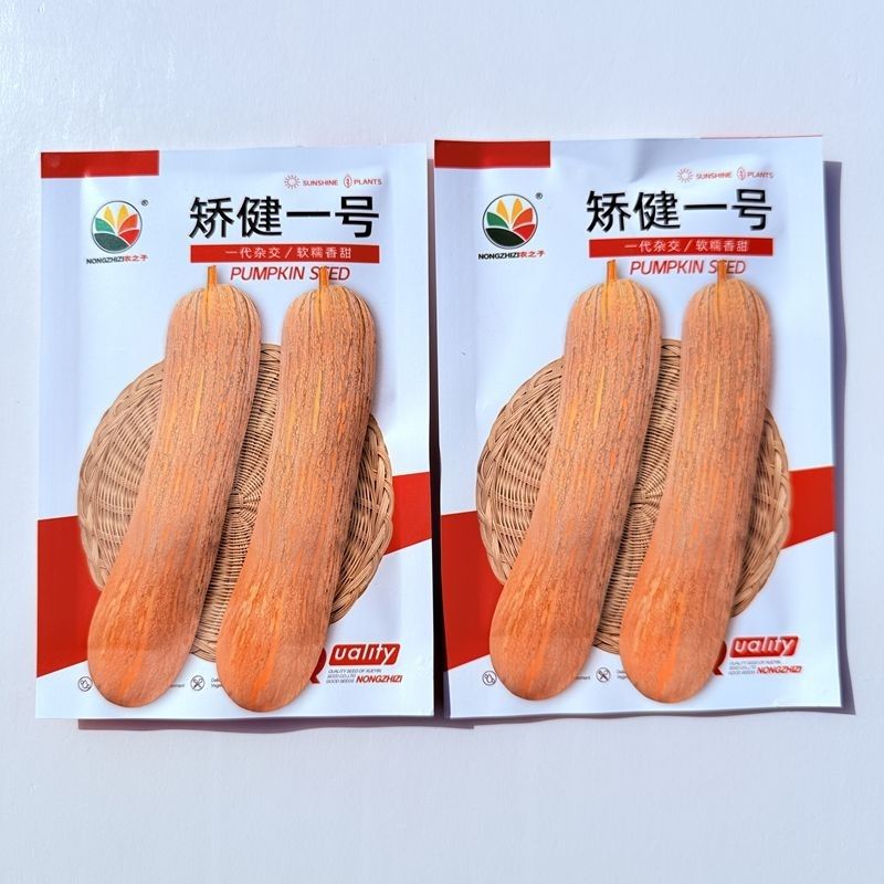 矫健一号南瓜种子早熟杂交软甘甜香糯长棒形南瓜种子籽少肉厚高产