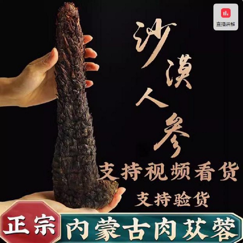 【小宇哥专属】内蒙古阿拉善荒漠油苁蓉正宗荒漠肉苁蓉特级整根泡酒