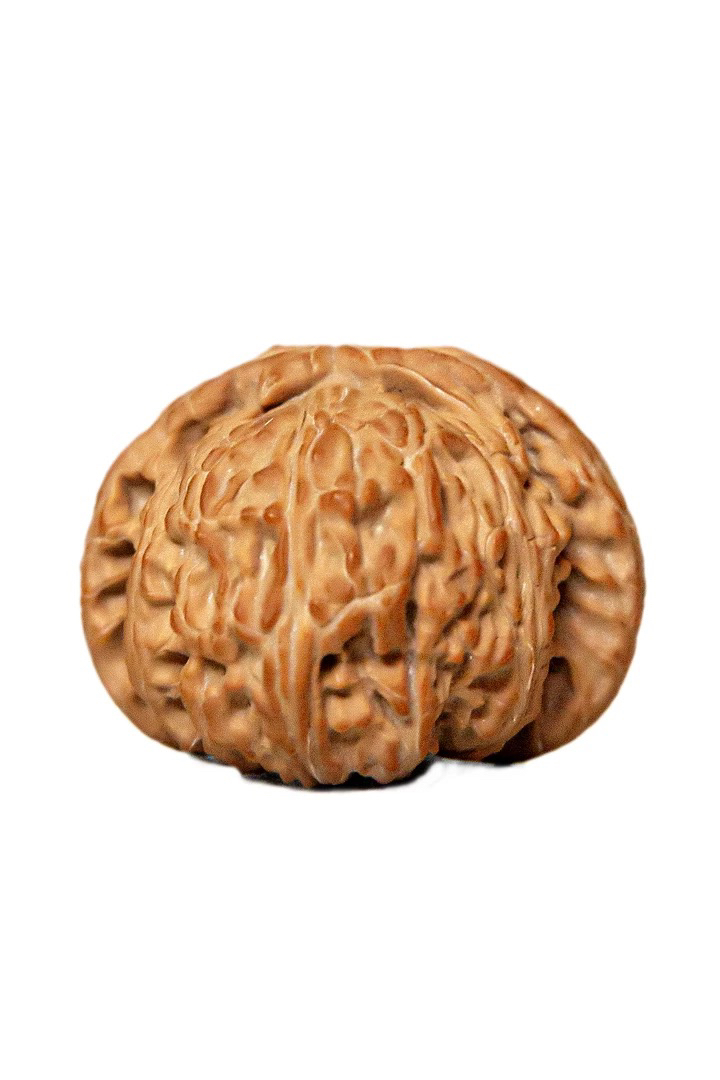 青皮鲜果定制不退不换窗户zzz1236784