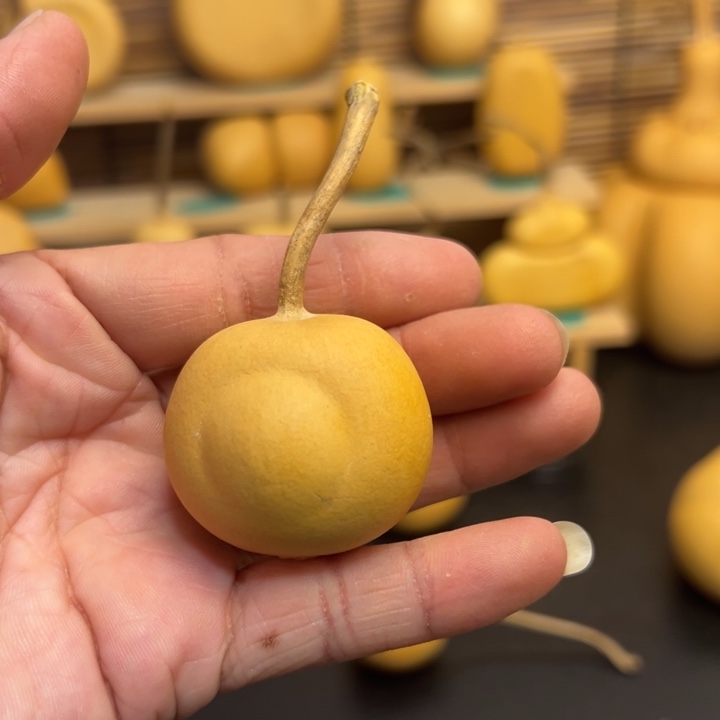 冬**二葫芦葫芦葫芦葫芦葫芦葫芦