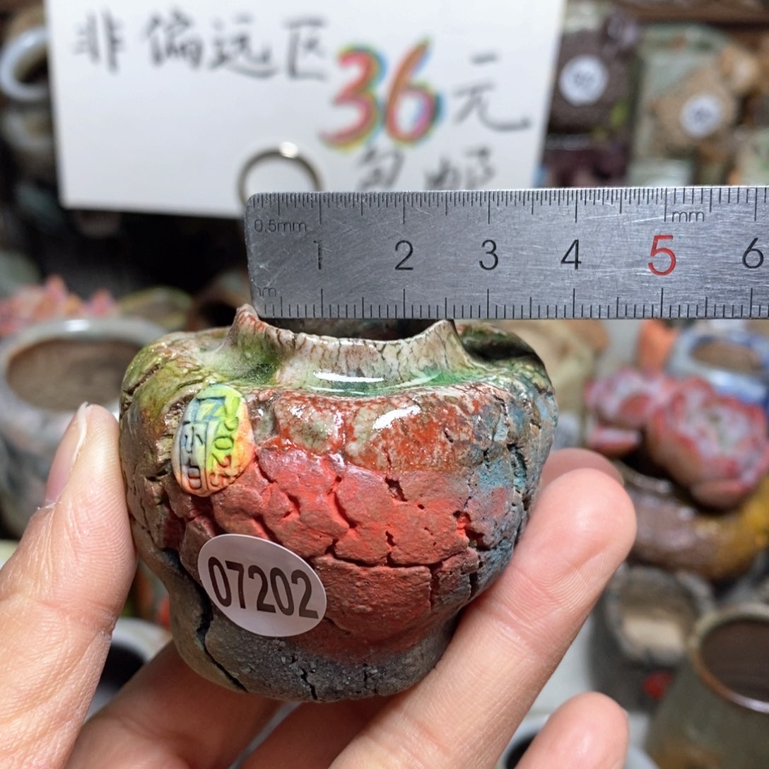 花盆拍3送一个小礼物