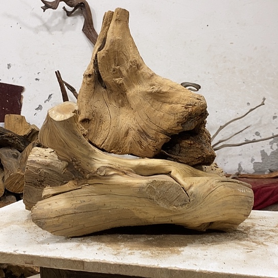 济***车柏木我们都是好孩子