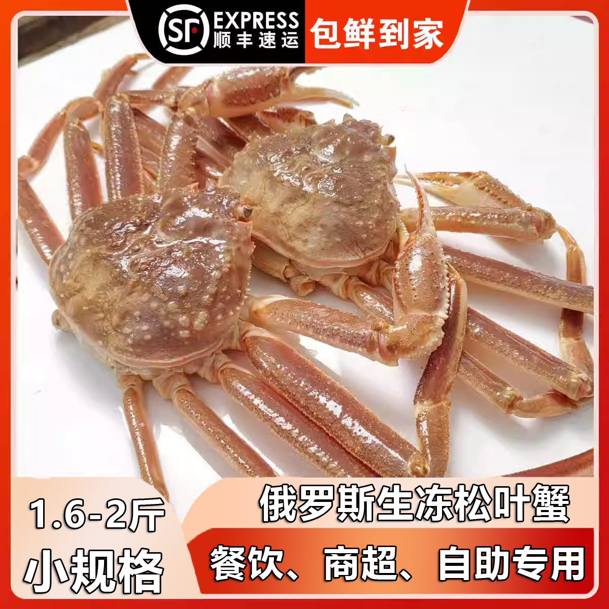 松叶蟹活冻长脚蟹1.6-2斤餐饮商用自助长脚蟹雪蟹板蟹帝王蟹顺丰