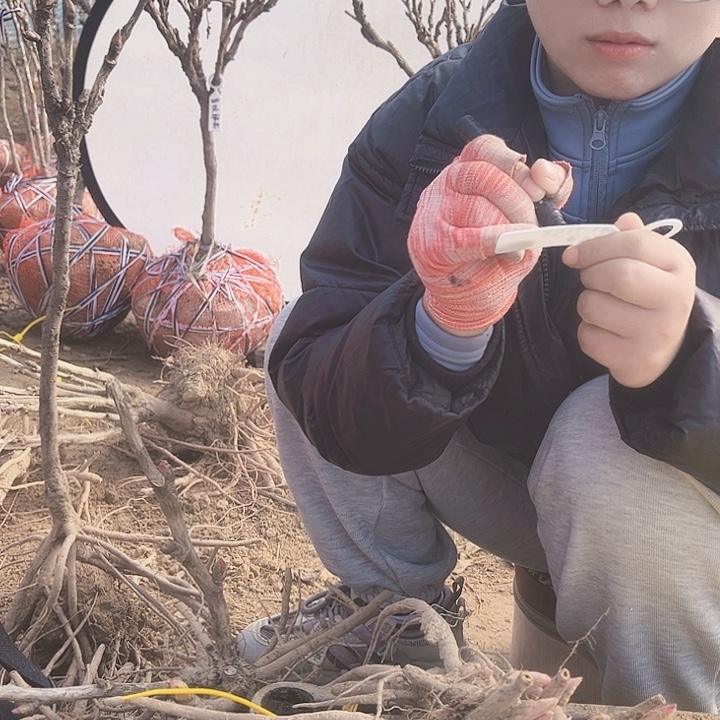 完全开放111111111111111