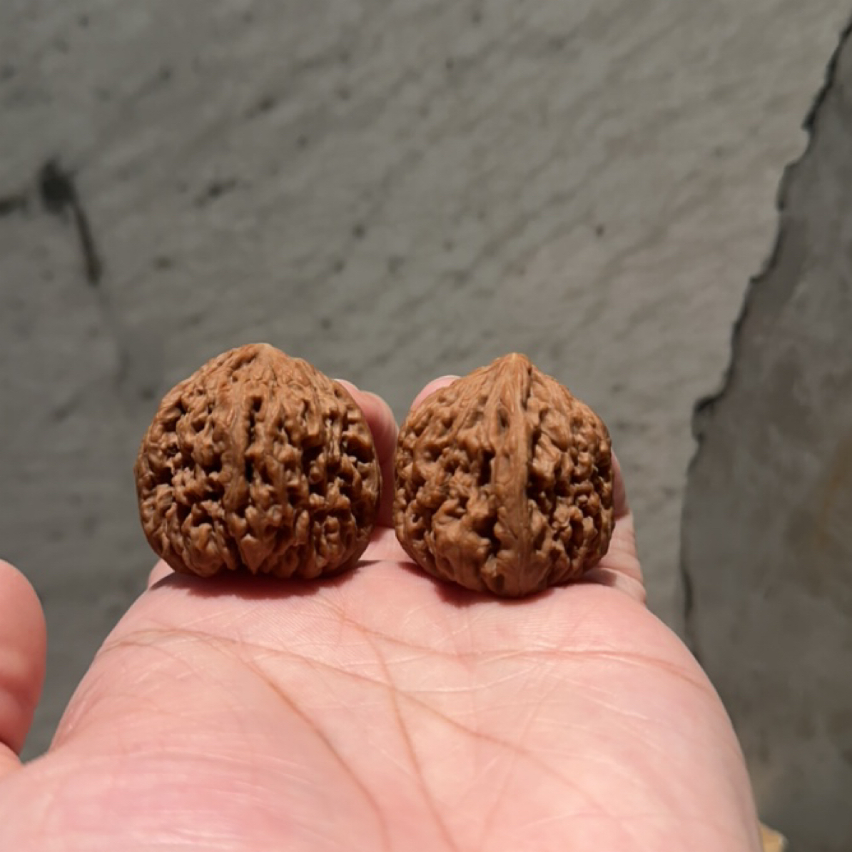顶级皮质南疆石溜肩膀全品无修23467