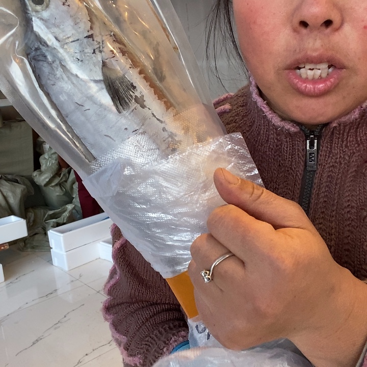 虚***世中国大陆渤海湾野生刀鱼4.2斤有瑕1号