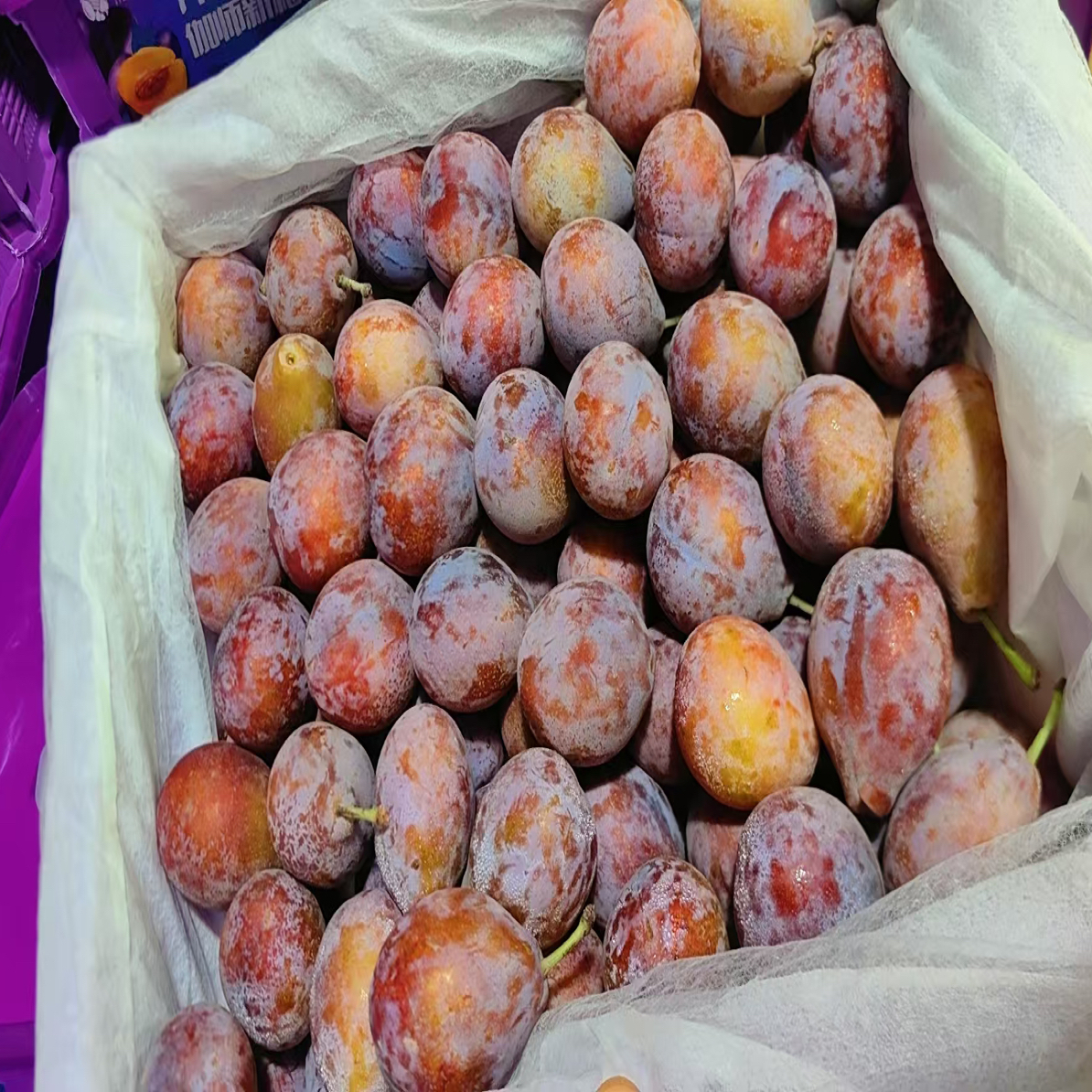 新疆西梅
