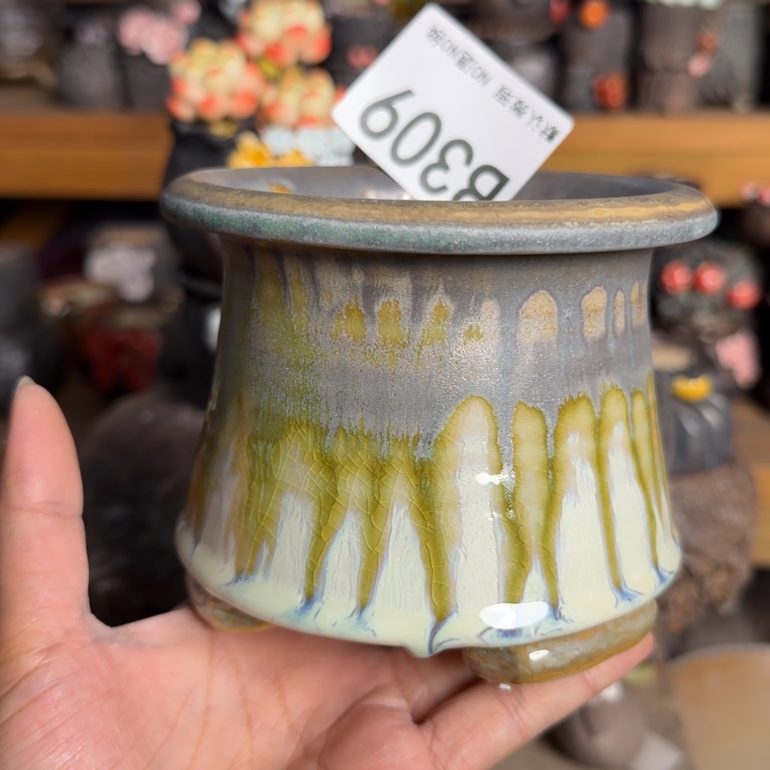 重庆小燕子欢迎大家309