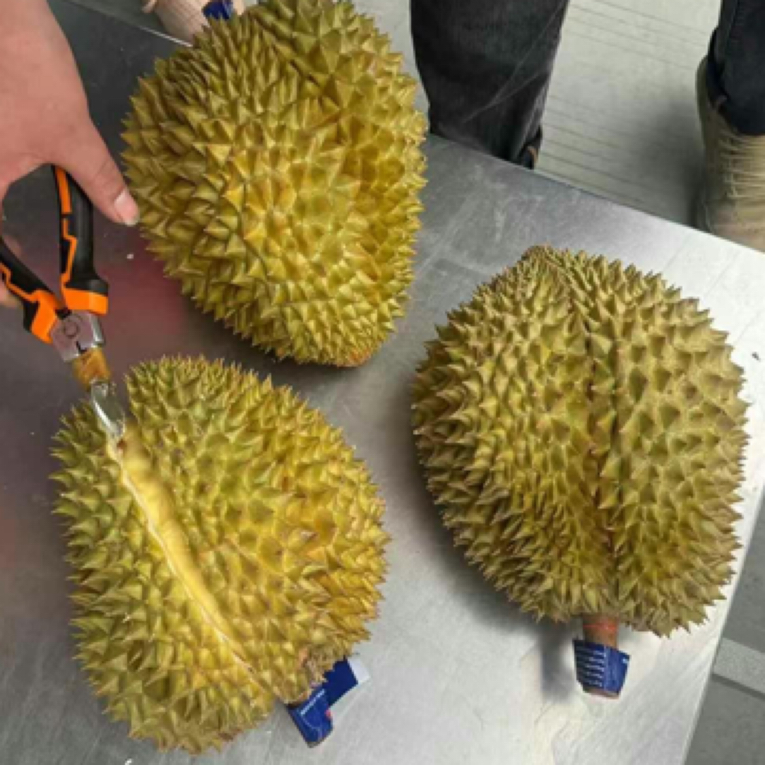 泰国树熟金枕榴莲一盒鲜榴莲 核小600g金枕泰国