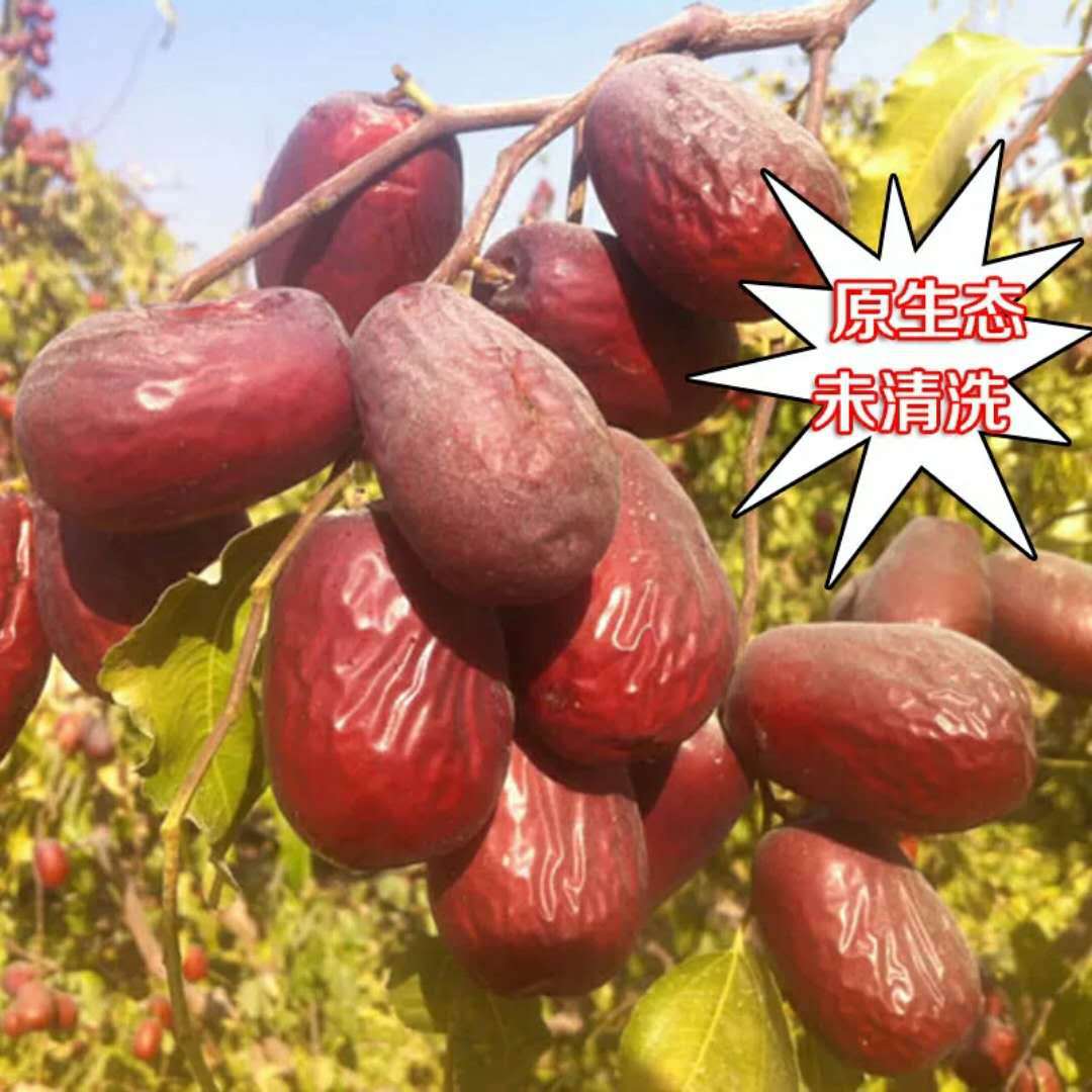 2025年正宗新疆和田大枣(俊枣）煲汤煮粥速食营养香甜果干零食