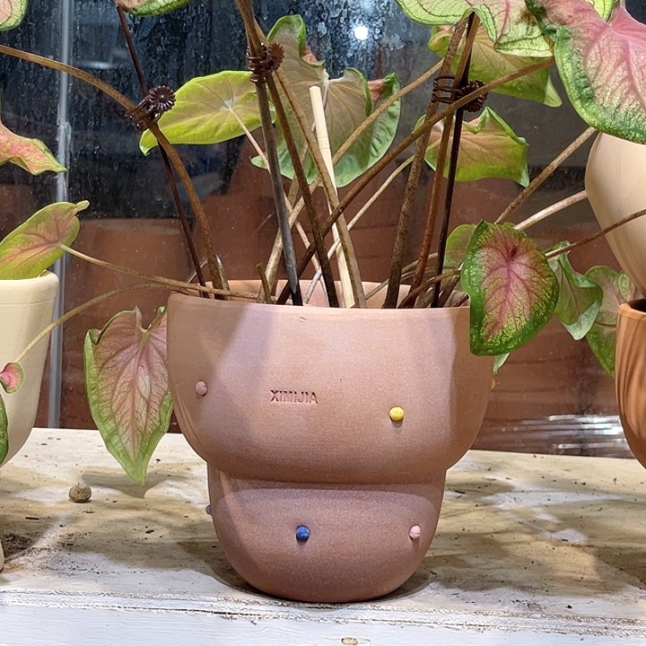 14×13花盆一个，，，，，