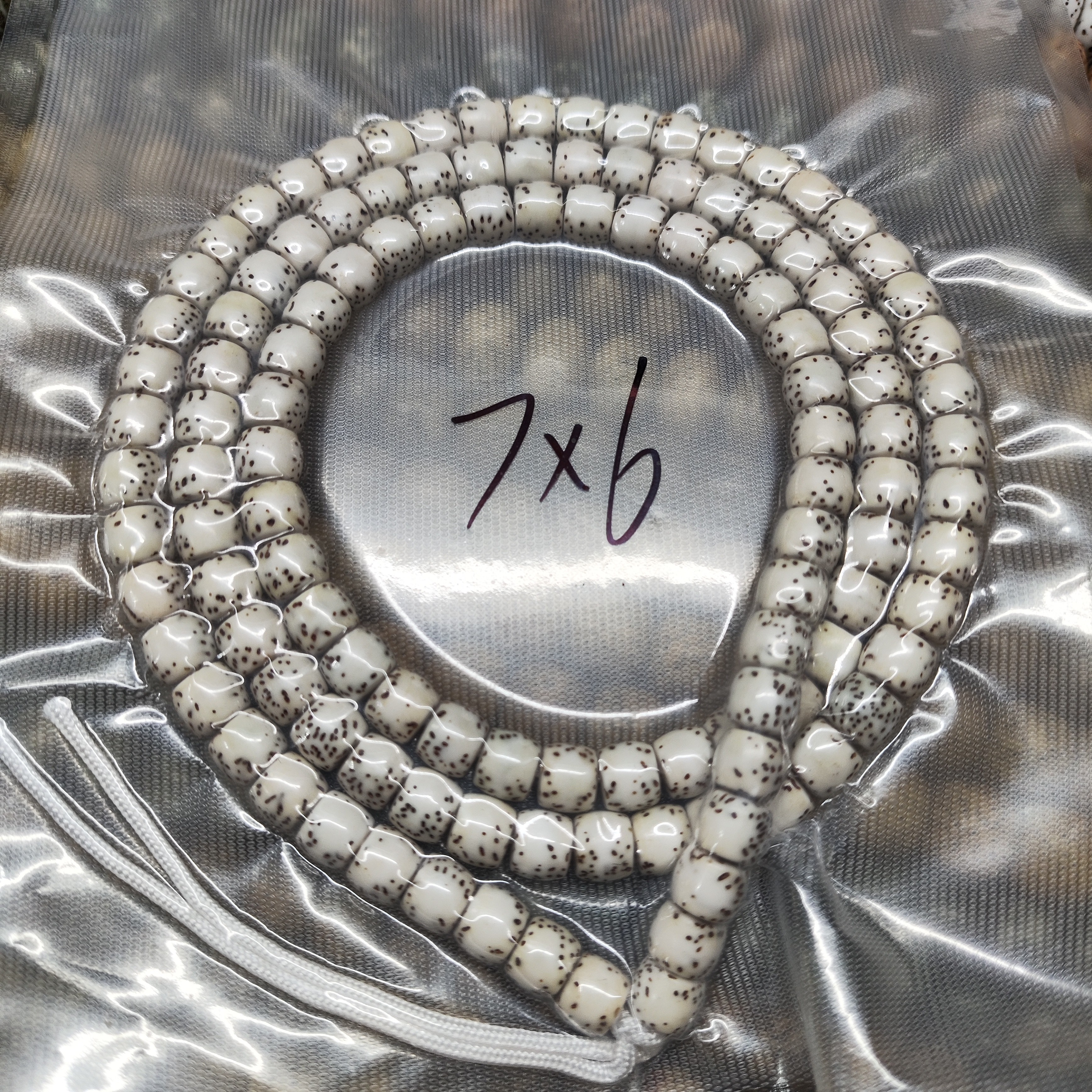 7×6尺寸，原白河豚，带备籽