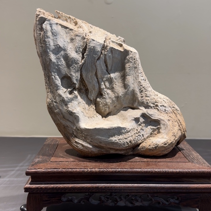 帕***托香榧木崖柏啊啊啊啊