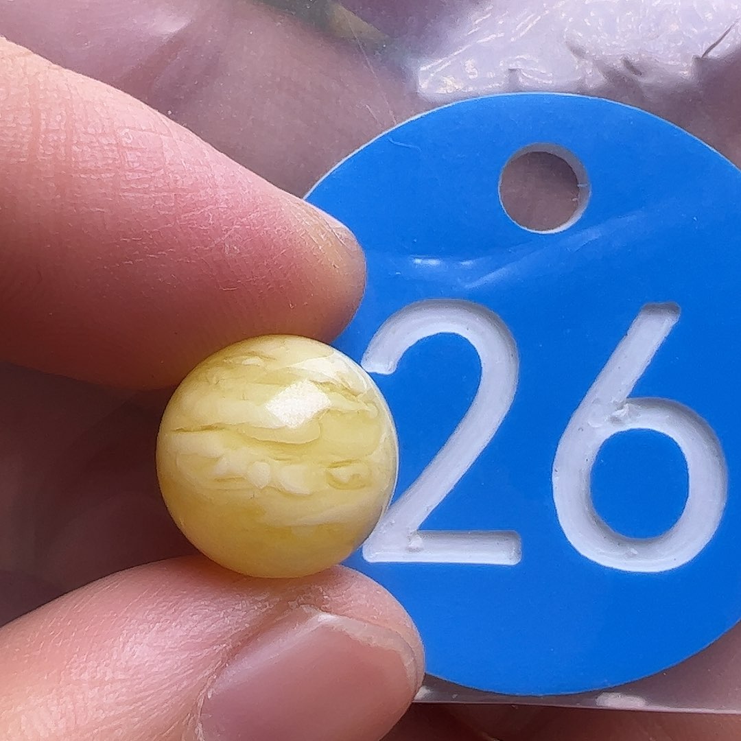 蜜蜡未镶嵌珠宝奇石12mm花粉
