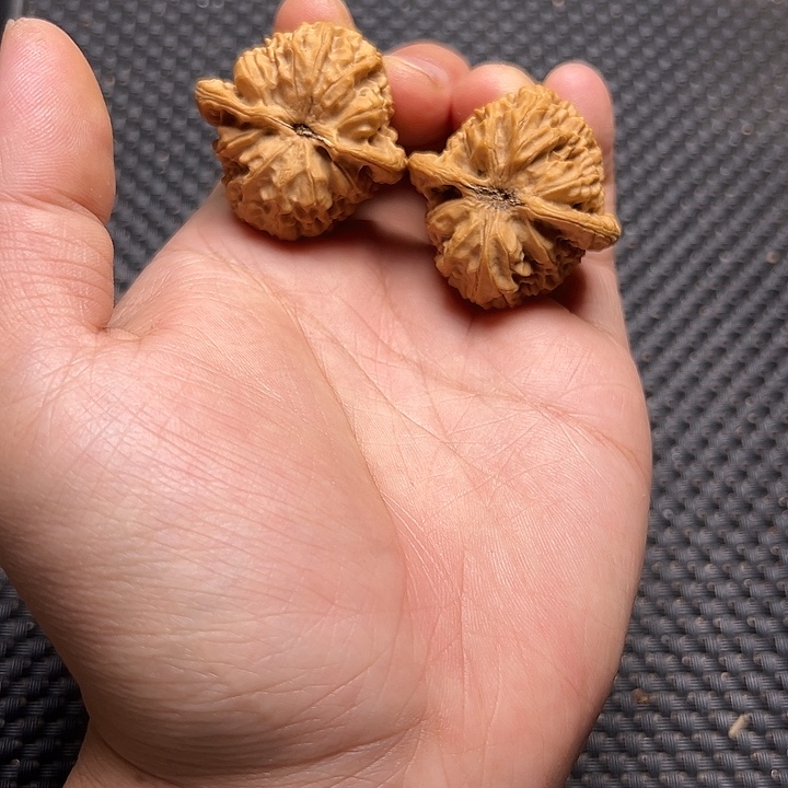 文玩核桃吊坠:龙公子