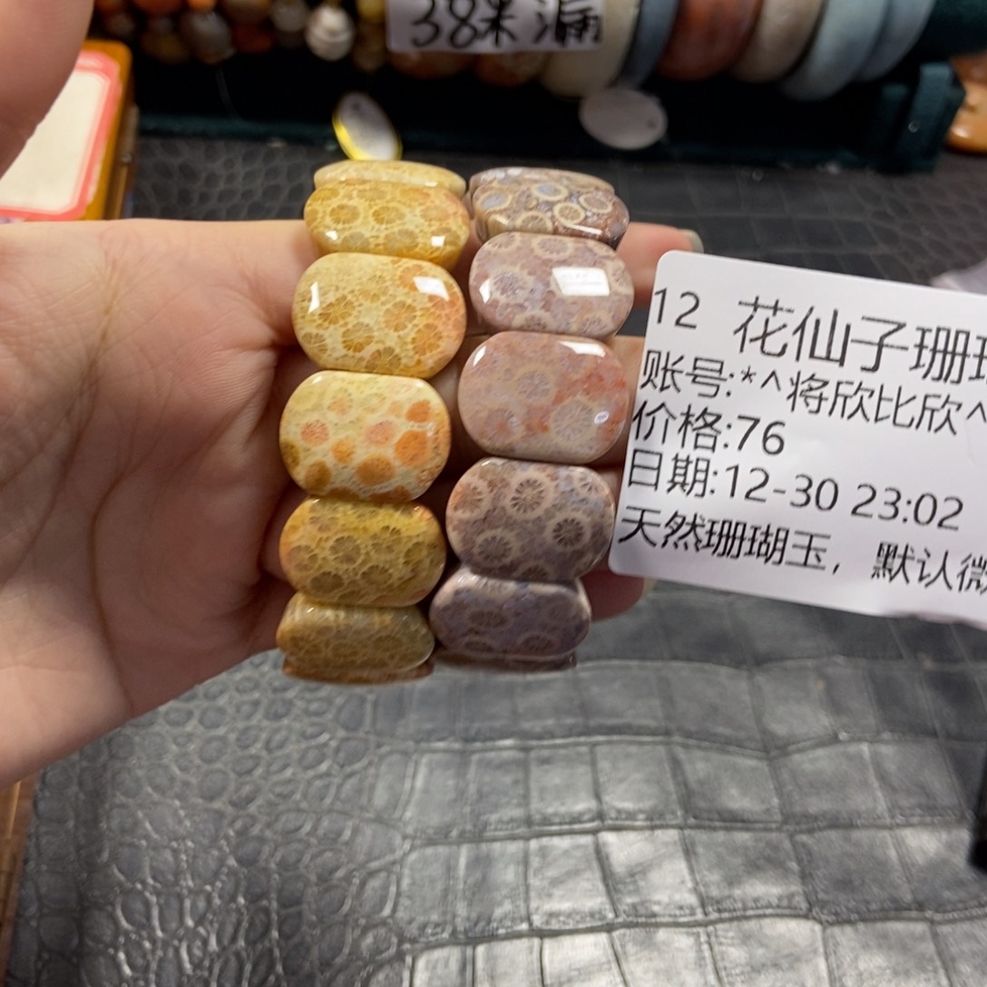 *****硅化珊瑚（珊瑚玉）未镶嵌珠宝半成品12