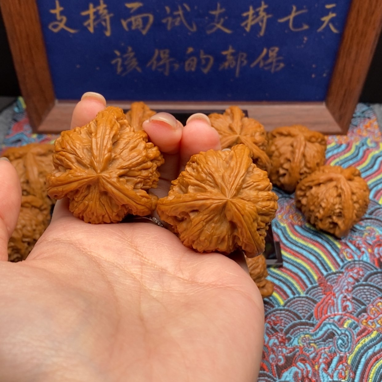 【闪购商品】南*摊白狮