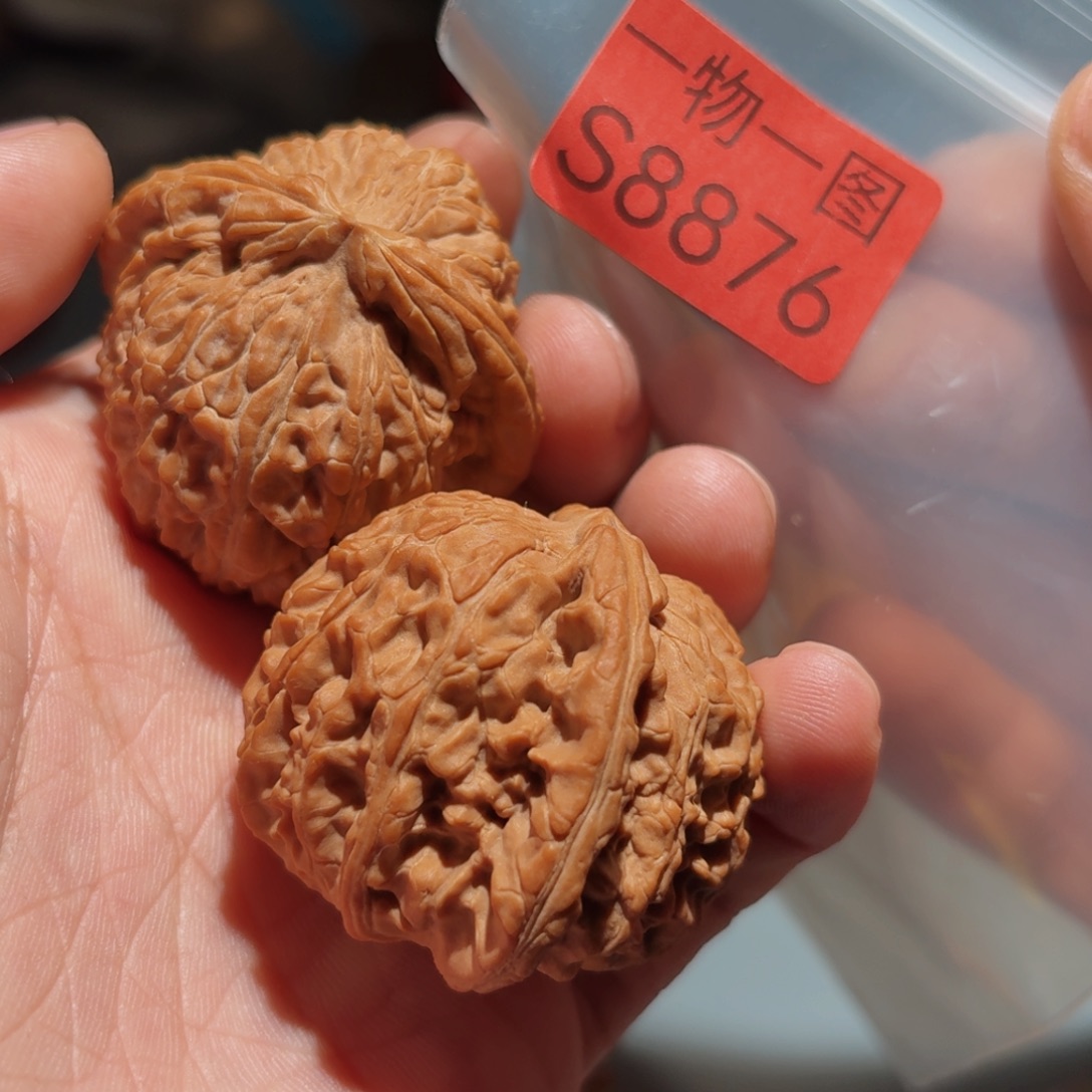 文玩核桃把件白狮子